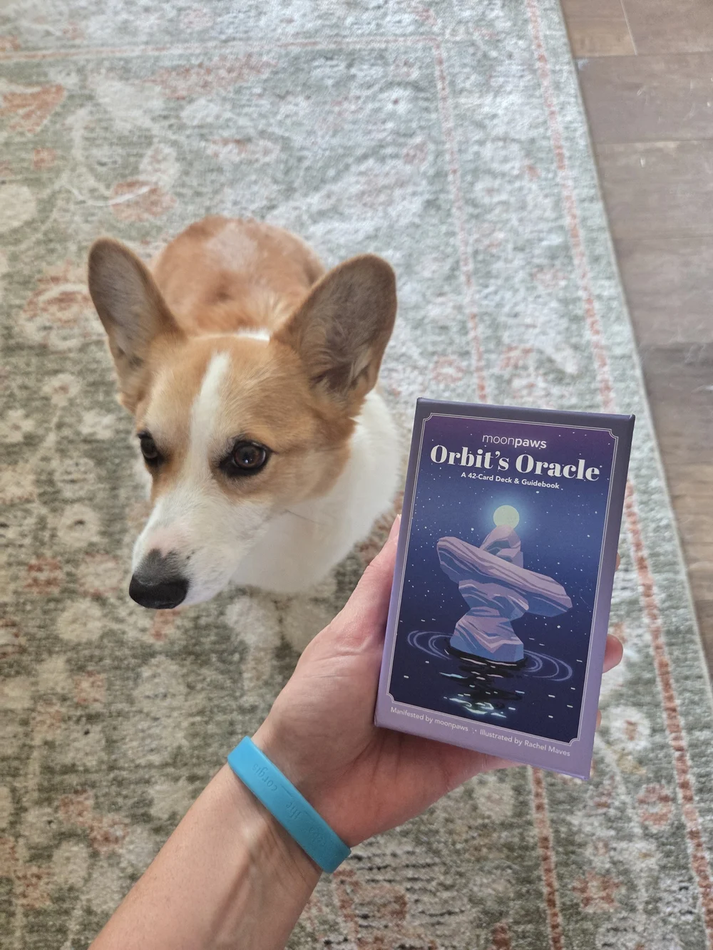 N/A orbit oracle